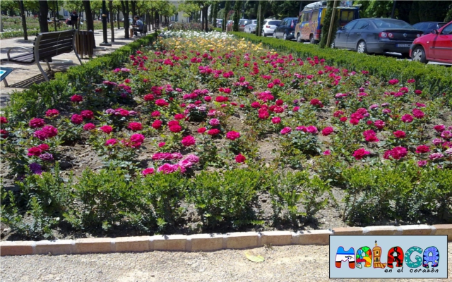 Jardines de Pedro Luis Alonso